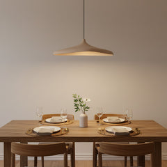 Modern Organic Pendant Light
