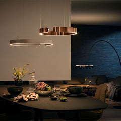 Sculptural Open Circle LED Ceiling Pendant