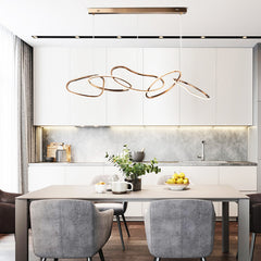 Sculptural Ring Pendant Light