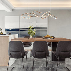 Sculptural Ring Pendant Light