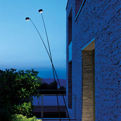 Sampei Black Floor Lamp