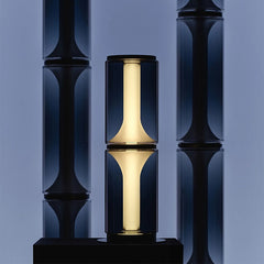 Modern Smoked Glass LED Floor Lamp