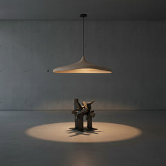Modern Organic Pendant Light
