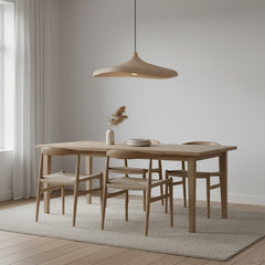 Modern Organic Pendant Light